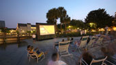Movies Under the Stars