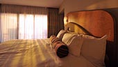 wdw-contemporary-room-type-junior-suite-king-theme-park-view-170x96.jpg