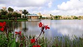 wdw-coronado-springs-overview-tranquil-lakeside-170x96.jpg