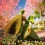 epcot-international-flower-and-garden-festival-00-sq.jpg