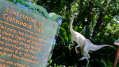 Cretaceous Trail