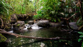 The Oasis Exhibits
