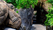 Discovery Island® Trails