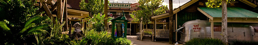 Disney's Animal Kingdom - Restaurantes