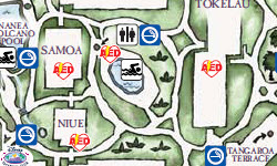Disney's Polynesian Resort