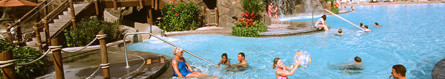 Disney's Polynesian Amenities