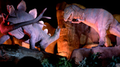 Attractions