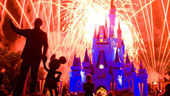 Spectacle nocturne Wishes