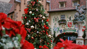 Yuletide Fantasy