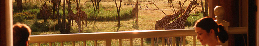 Disney's Animal Kingdom Lodge Recreation