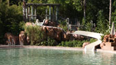 Uzima Pool