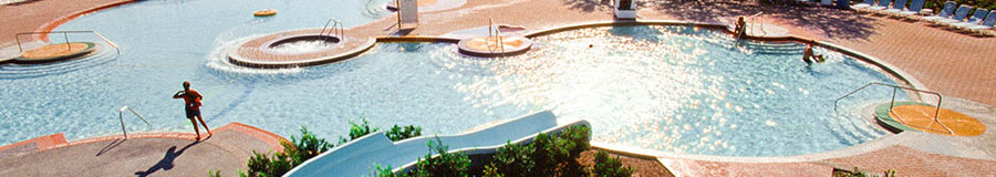 Disney's Contemporary Resort Amenities
