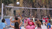 Volleyball.jpg