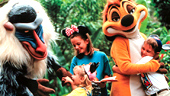 Camp Minnie-Mickey Greeting Trails