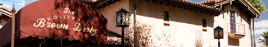 Disney's Hollywood Studios