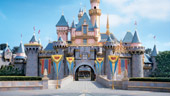 Disney Field Trips
