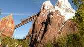 Disney Field Trips