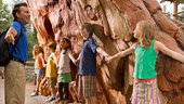 Individual Enrollment: Disney Youth Education Series Individual Enrollment: Disney Youth Education Series