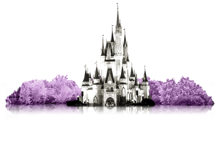 Walt Disney World Resort Walt Disney World Resort